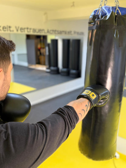 DO! Profi Boxhandschuhe