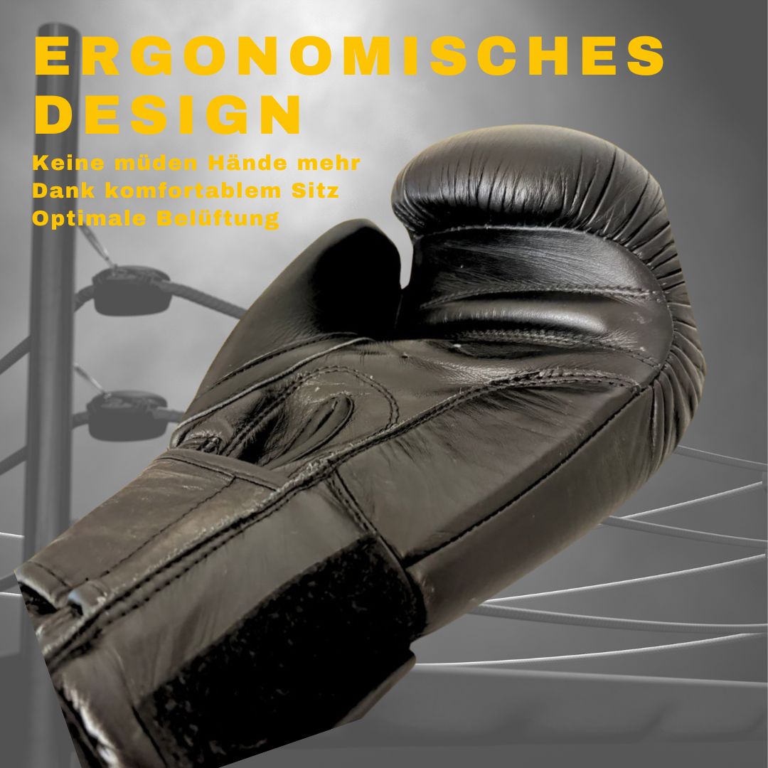 DO! Profi Boxhandschuhe