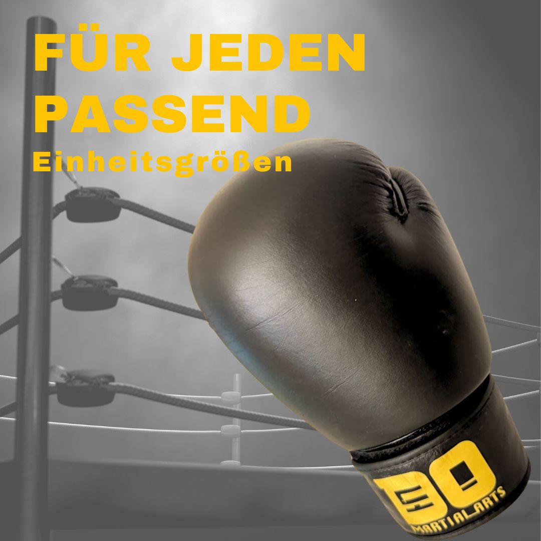 DO! Profi Boxhandschuhe